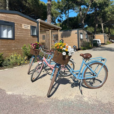 Tour Opérateurs et particuliers sur Camping Le Suroit - Camping Charente-Maritime - Afbeelding N°4